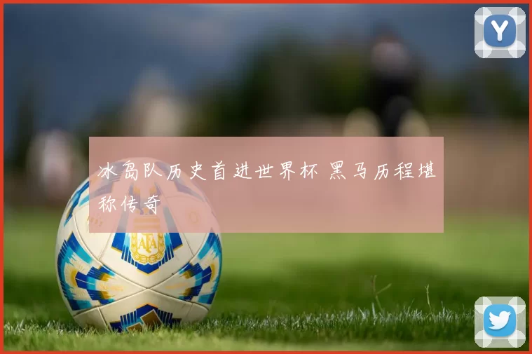 冰岛队历史首进世界杯 黑马历程堪称传奇