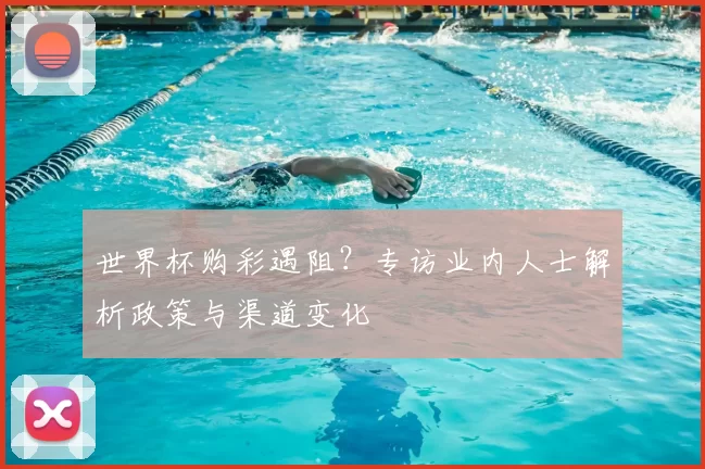 世界杯购彩遇阻？专访业内人士解析政策与渠道变化