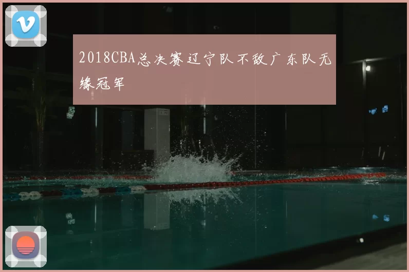 2018CBA总决赛辽宁队不敌广东队无缘冠军