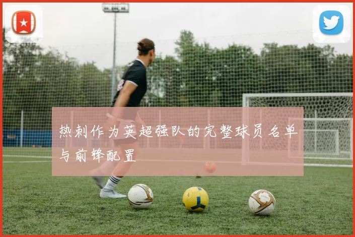 热刺作为英超强队的完整球员名单与前锋配置