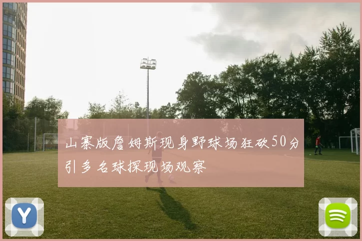山寨版詹姆斯现身野球场狂砍50分引多名球探现场观察