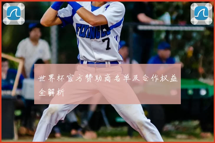 世界杯官方赞助商名单及合作权益全解析