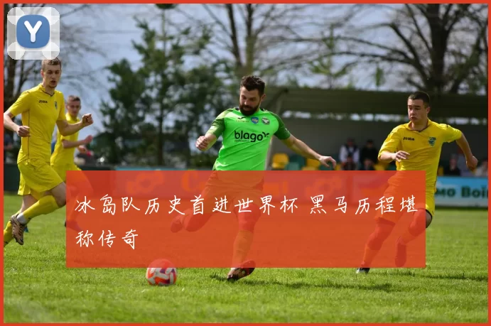 冰岛队历史首进世界杯 黑马历程堪称传奇