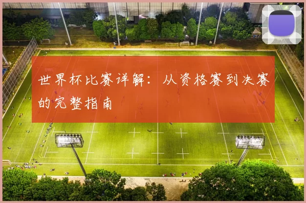 世界杯比赛详解：从资格赛到决赛的完整指南