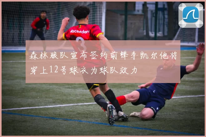 森林狼队宣布签约前锋李凯尔他将穿上12号球衣为球队效力