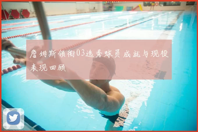 詹姆斯领衔03选秀球员成就与现役表现回顾