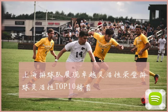 上海排球队展现卓越灵活性荣登排球灵活性TOP10榜首