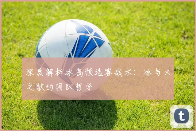 深度解析冰岛预选赛战术：冰与火之歌的团队哲学
