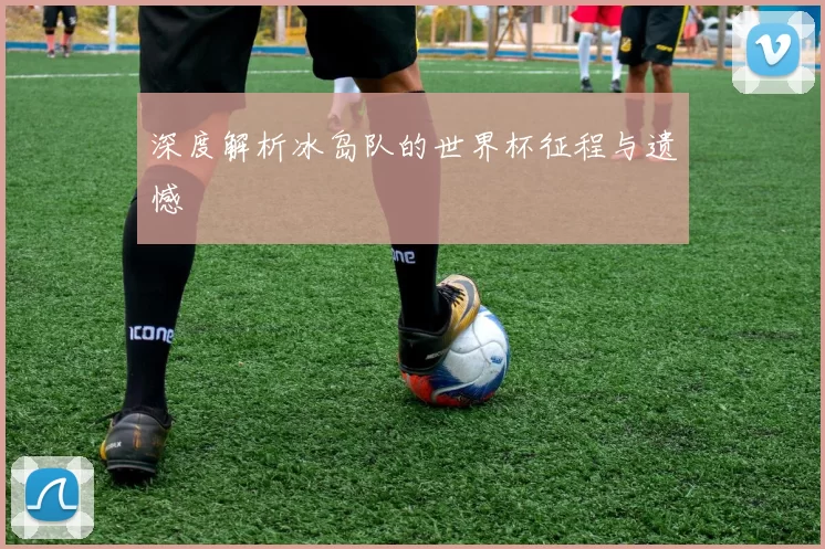 深度解析冰岛队的世界杯征程与遗憾