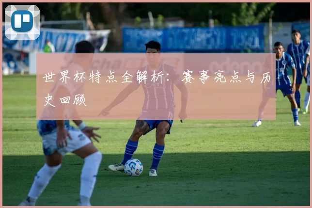 世界杯特点全解析：赛事亮点与历史回顾