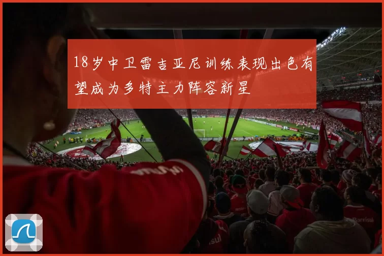 18岁中卫雷吉亚尼训练表现出色有望成为多特主力阵容新星