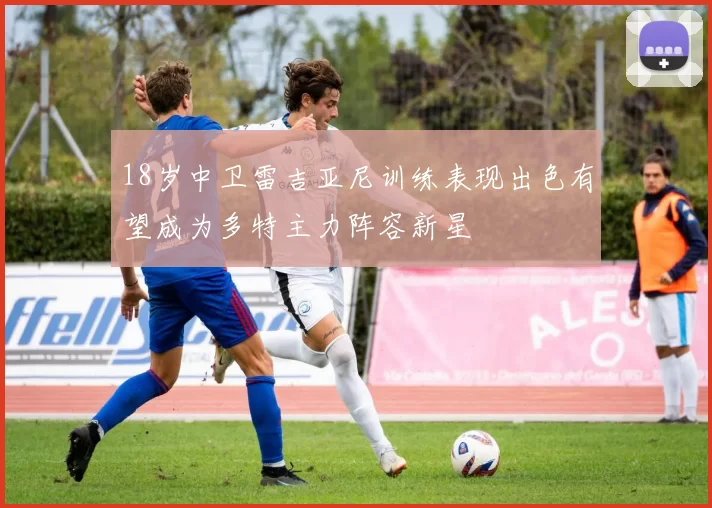 18岁中卫雷吉亚尼训练表现出色有望成为多特主力阵容新星