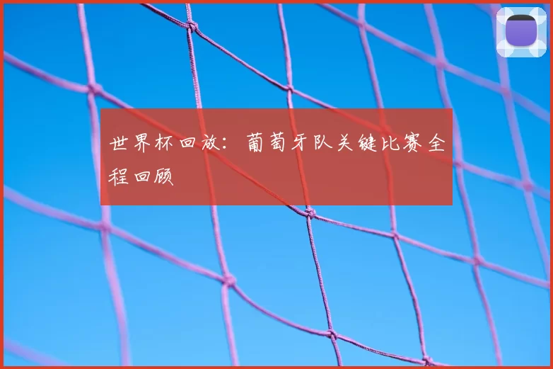 世界杯回放：葡萄牙队关键比赛全程回顾