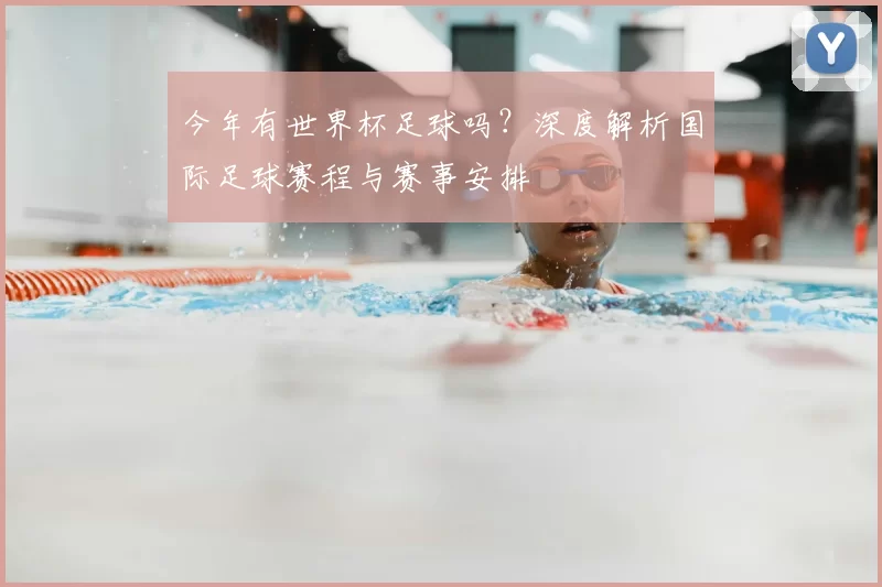 今年有世界杯足球吗？深度解析国际足球赛程与赛事安排