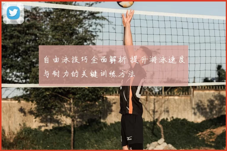 自由泳技巧全面解析 提升游泳速度与耐力的关键训练方法