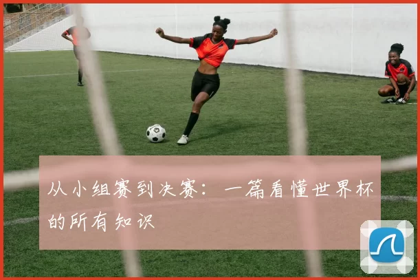 从小组赛到决赛：一篇看懂世界杯的所有知识