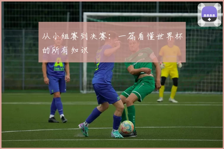 从小组赛到决赛：一篇看懂世界杯的所有知识