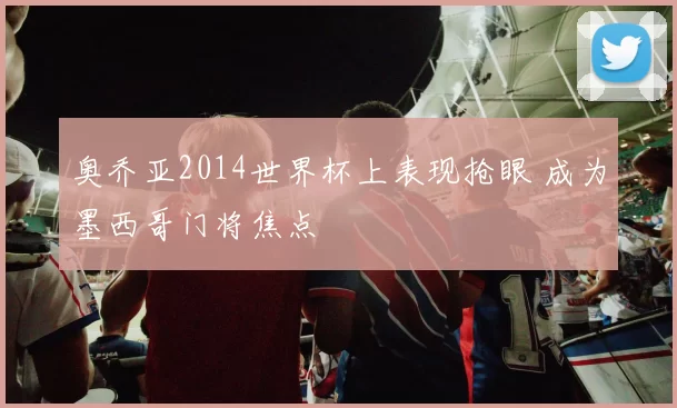 奥乔亚2014世界杯上表现抢眼 成为墨西哥门将焦点