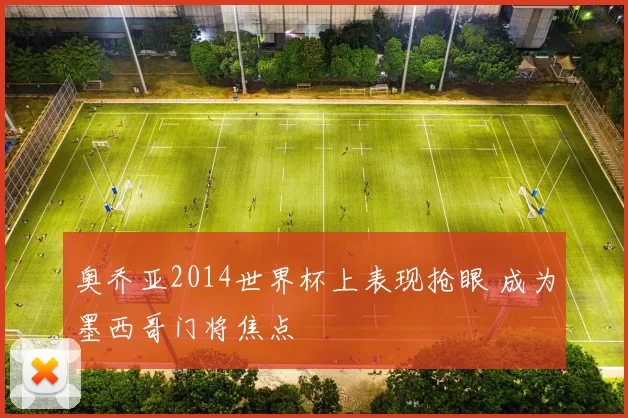 奥乔亚2014世界杯上表现抢眼 成为墨西哥门将焦点