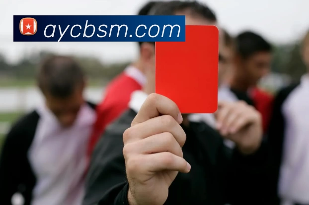 华体官网登录APP 高清赛事图